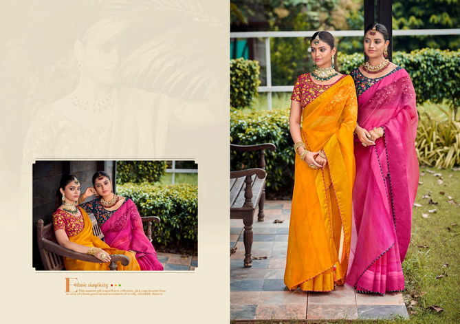 5D Designer Saloni Festive Wear Wholesale Saree Collection